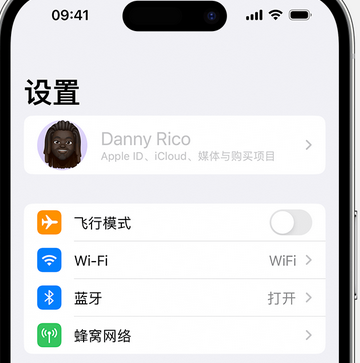 相城appleID维修服务iPhone设置中Apple ID显示为灰色无法使用