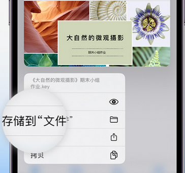 相城apple维修中心分享iPhone文件应用中存储和找到下载文件