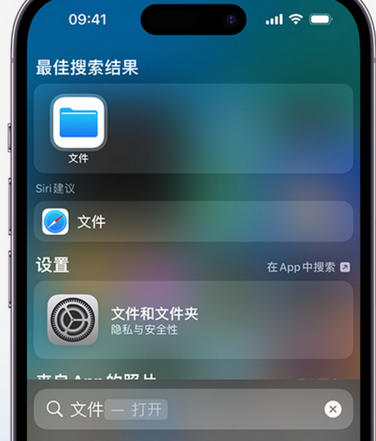 相城apple维修中心分享iPhone文件应用中存储和找到下载文件 