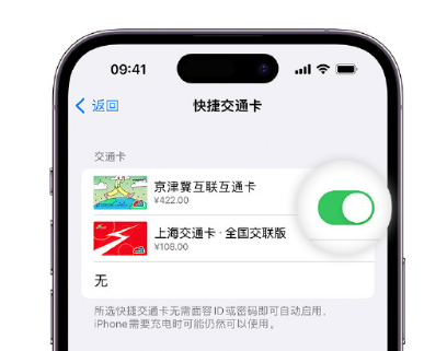 相城apple维修点分享iPhone上更换Apple Pay快捷交通卡手绘卡面 