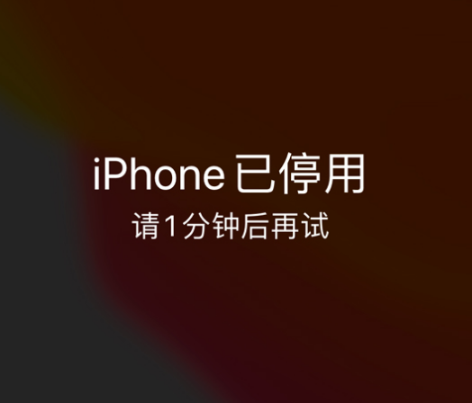 相城苹果手机维修分享:iPhone 显示“不可用”或“已停用”怎么办？还能保留数据吗？ 