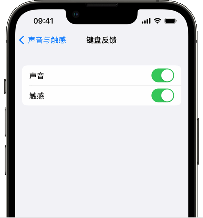 相城苹果14维修店分享如何在 iPhone 14 机型中使用触感键盘 