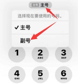 相城苹果14维修店分享iPhone 14 Pro Max使用副卡打电话的方法 