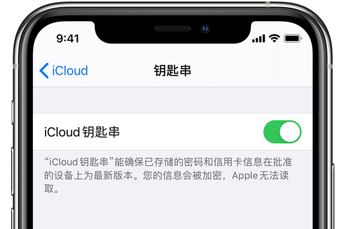 相城苹果手机维修分享在 iPhone 上开启 iCloud 钥匙串之后会储存哪些信息 