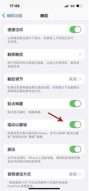 相城苹果手机维修分享iPhone手机如何设置摇一摇删除文字 